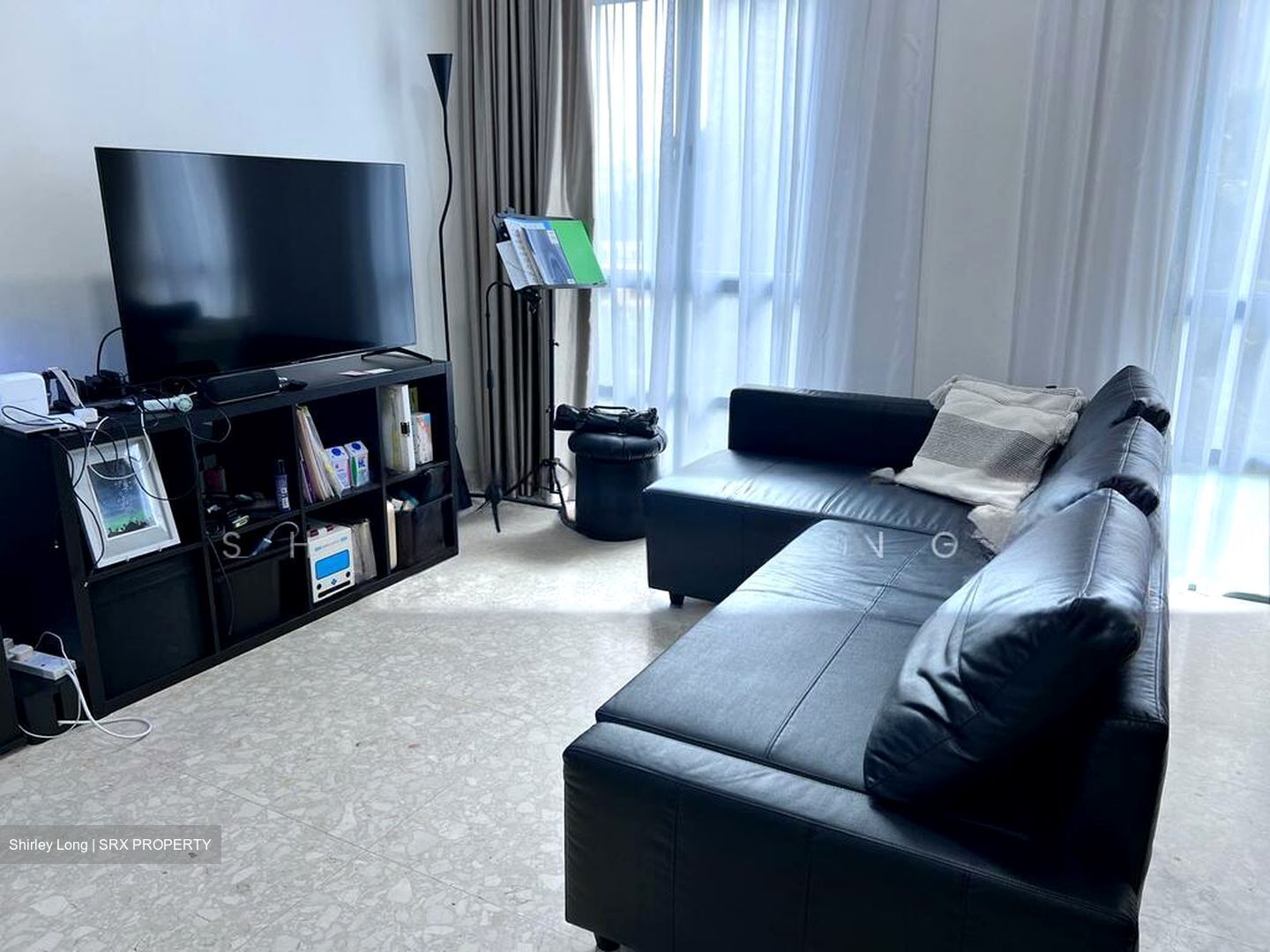 Tanglin Regency (D10), Condominium #523452431